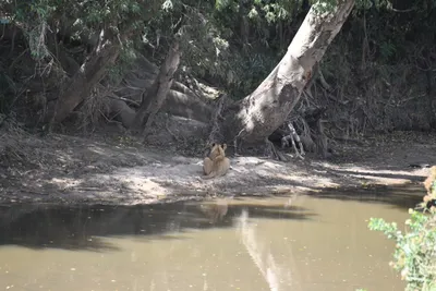 DSC_4035 (Large).JPG